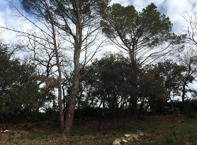 Bed and Breakfast Les Marguerites Vers Pont du Gard